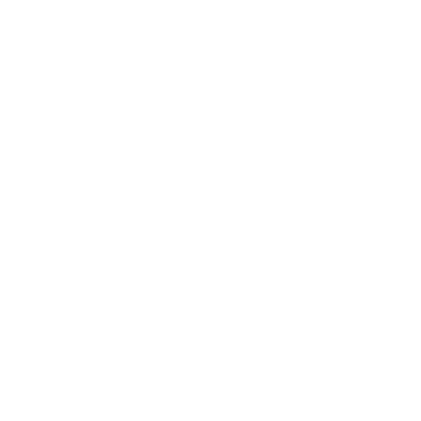 SEI logo